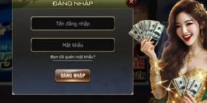 Tìm hiểu Đăng nhập MMWIN